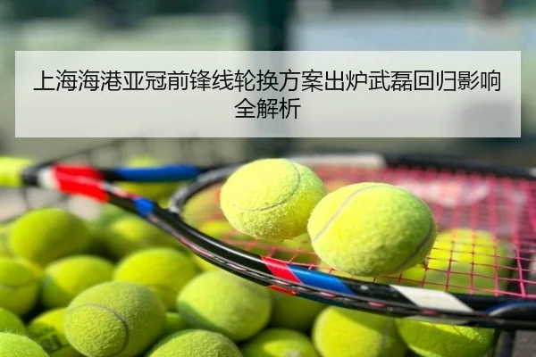 上海海港亚冠前锋线轮换方案出炉武磊回归影响全解析